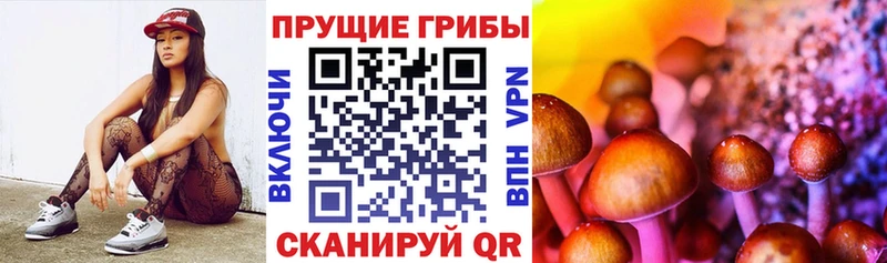 площадка как зайти  Торопец  Псилоцибиновые грибы Psilocybe  KRAKEN ссылки 